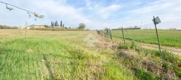 30000m² Land in Volta Mantovana, Italy No. 125814 5