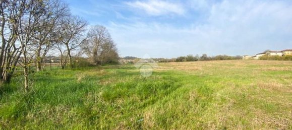 30000m² Land in Volta Mantovana, Italy No. 125814 2