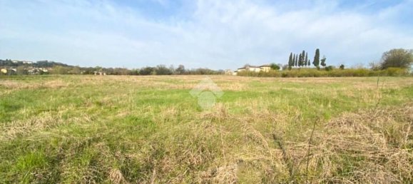 30000m² Land in Volta Mantovana, Italy No. 125814 13
