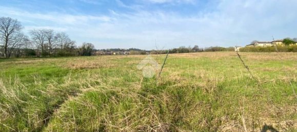 30000m² Land in Volta Mantovana, Italy No. 125814 15