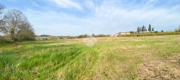 30000m² Land in Volta Mantovana, Italy No. 125814 3