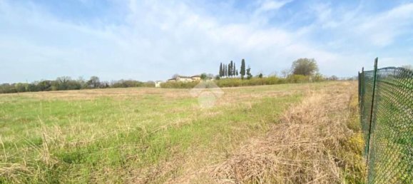 30000m² Land in Volta Mantovana, Italy No. 125814 10