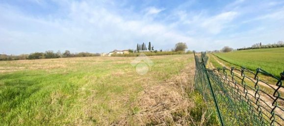30000m² Land in Volta Mantovana, Italy No. 125814 9