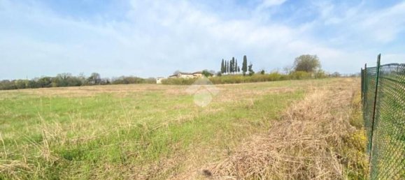 30000m² Land in Volta Mantovana, Italy No. 125814 19