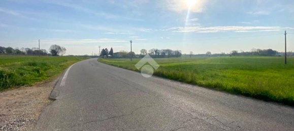 30000m² Land in Volta Mantovana, Italy No. 125814 7