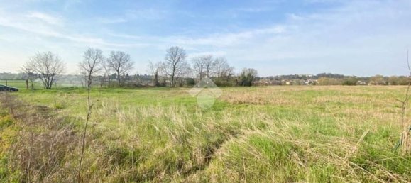 30000m² Land in Volta Mantovana, Italy No. 125814 21