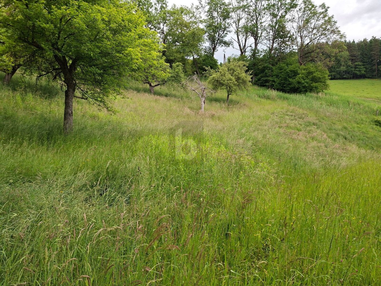  قطعة أرض في Feldkirchen in Karnten, Austria 4606متر مربع رقم 146241