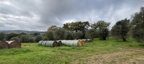 4 rooms House in Amelia, Italy No. 140042 11