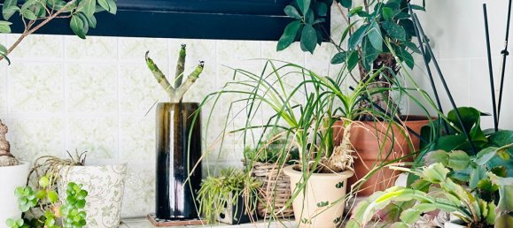 6-salle Villa à Cucq, France No. 54022 8