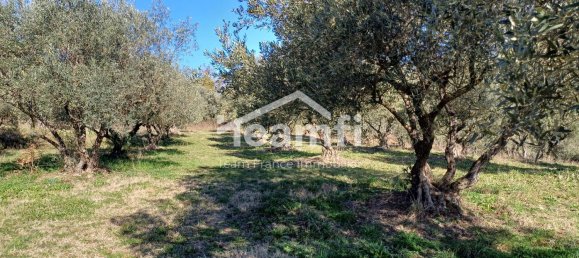 3 bedrooms House in Vagnas, France No. 207186 4