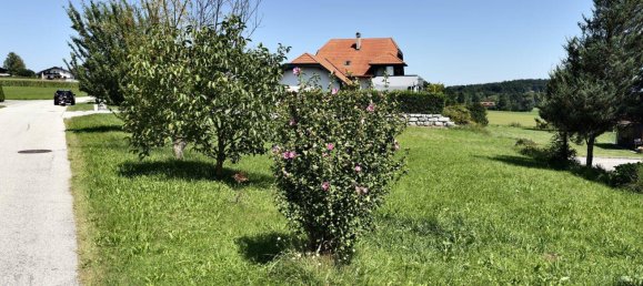 Terrain à Tarsdorf, Austria 955m² No. 222619 6