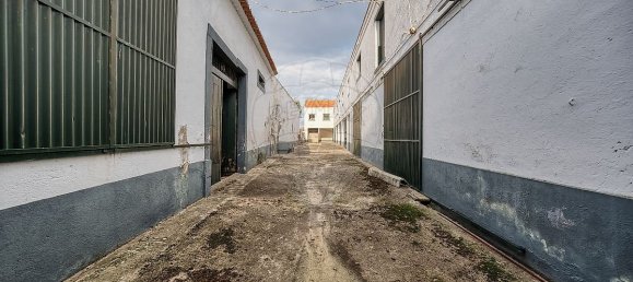 8 chambres Maison à Alpiarca, Portugal No. 25391 13