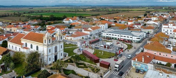 8 chambres Maison à Alpiarca, Portugal No. 25391 18