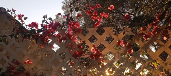 4 chambres Maison à Huelva, Spain No. 153487 7