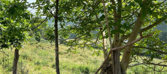 Terreno en Gijón, Spain No. 162794 3
