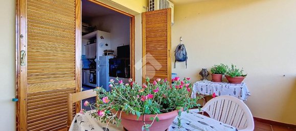 1 bedroom Apartment in Trinità d'Agultu e Vignola, Italy No. 347361 13