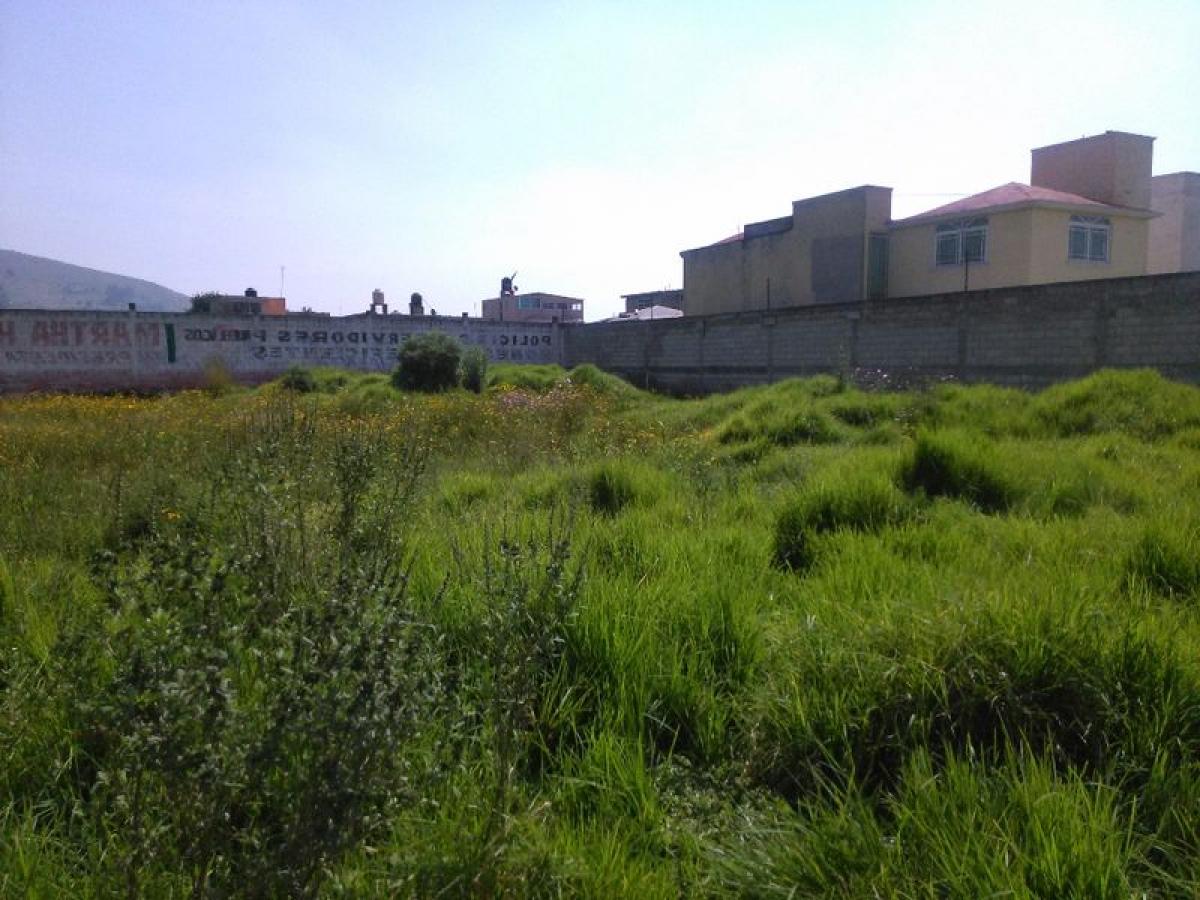 Земельный участок в Сан Буэнавентура, Мексика № 204186