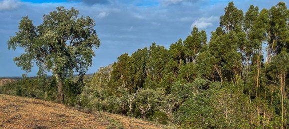 333520m² Land in Portel, Portugal No. 93478 18