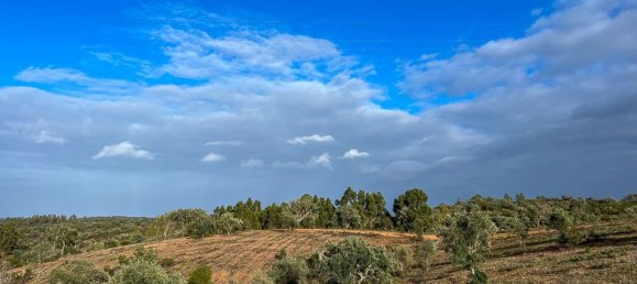 333520m² Land in Portel, Portugal No. 93478 8