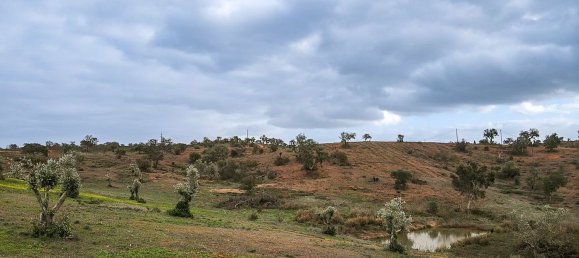 333520m² Land in Portel, Portugal No. 93478 5