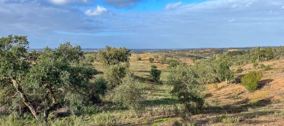 333520m² Land in Portel, Portugal No. 93478 14