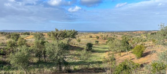 333520m² Land in Portel, Portugal No. 93478 15