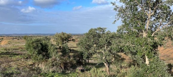 333520m² Land in Portel, Portugal No. 93478 13