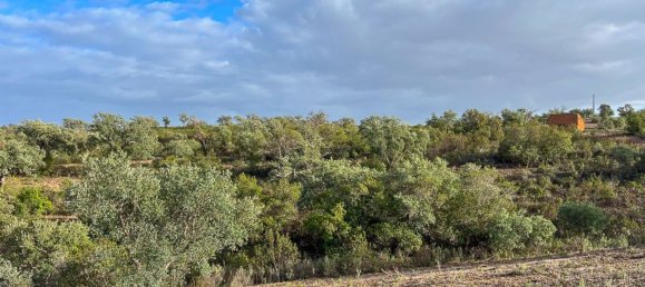 333520m² Land in Portel, Portugal No. 93478 19