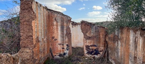 333520m² Land in Portel, Portugal No. 93478 28