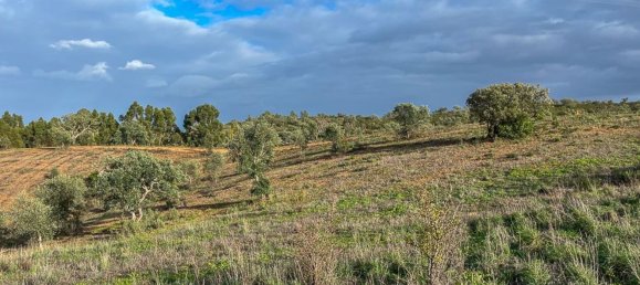 333520m² Land in Portel, Portugal No. 93478 6