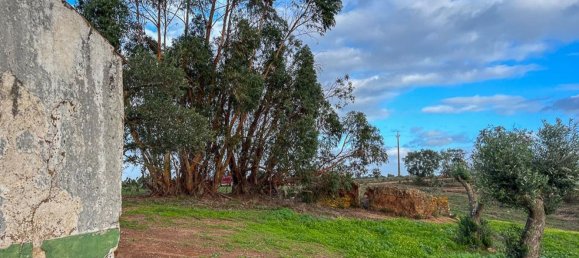 333520m² Land in Portel, Portugal No. 93478 35