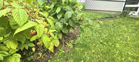 2-Zimmer Wohnung in Sigmaringen, Germany, Nr. 292118 34