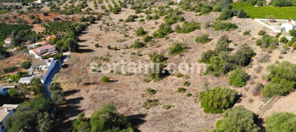 57000m² Land in Loule, Portugal No. 71432 2