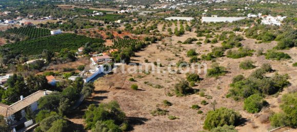 57000m² Land in Loule, Portugal No. 71432 3