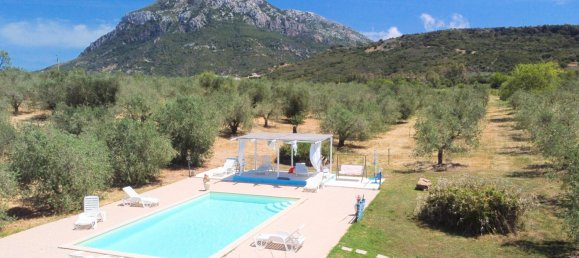 11 bedrooms Castles in Galtellì, Italy No. 54599 12