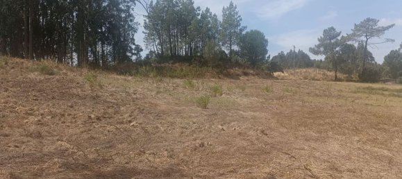 2880m² Land in Rio Maior, Portugal No. 321465 13