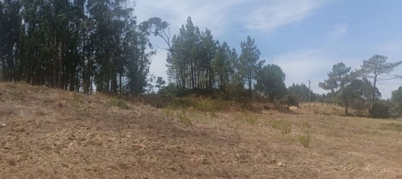 2880m² Land in Rio Maior, Portugal No. 321465 6