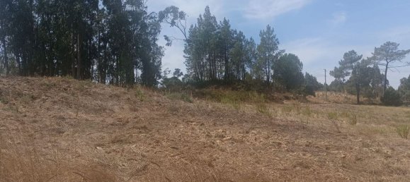 2880m² Land in Rio Maior, Portugal No. 321465 9