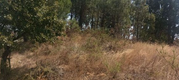 2880m² Land in Rio Maior, Portugal No. 321465 3