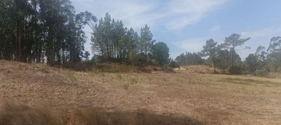 2880m² Land in Rio Maior, Portugal No. 321465 12