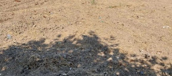 7 rooms House in Offida, Italy No. 281655 3