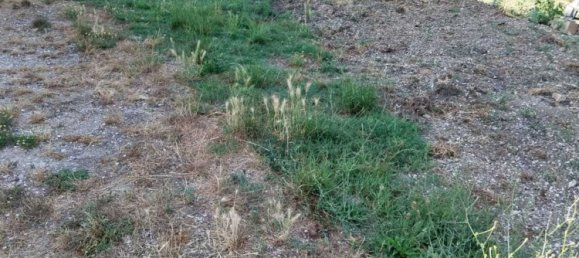 7 rooms House in Offida, Italy No. 281655 16