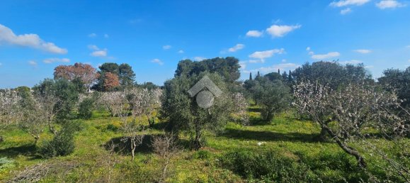 5-salle Villa à Ceglie Messapica, Italy No. 156182 21