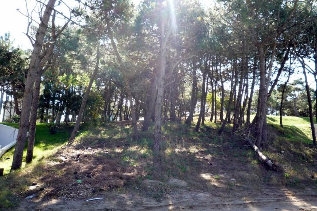 Grundstück in Mar del Plata, Argentina, Nr. 119544