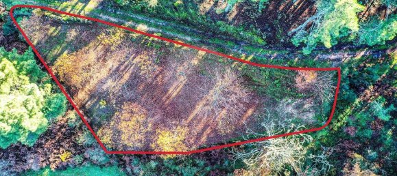  Land in Alijo, Portugal No. 190295 2