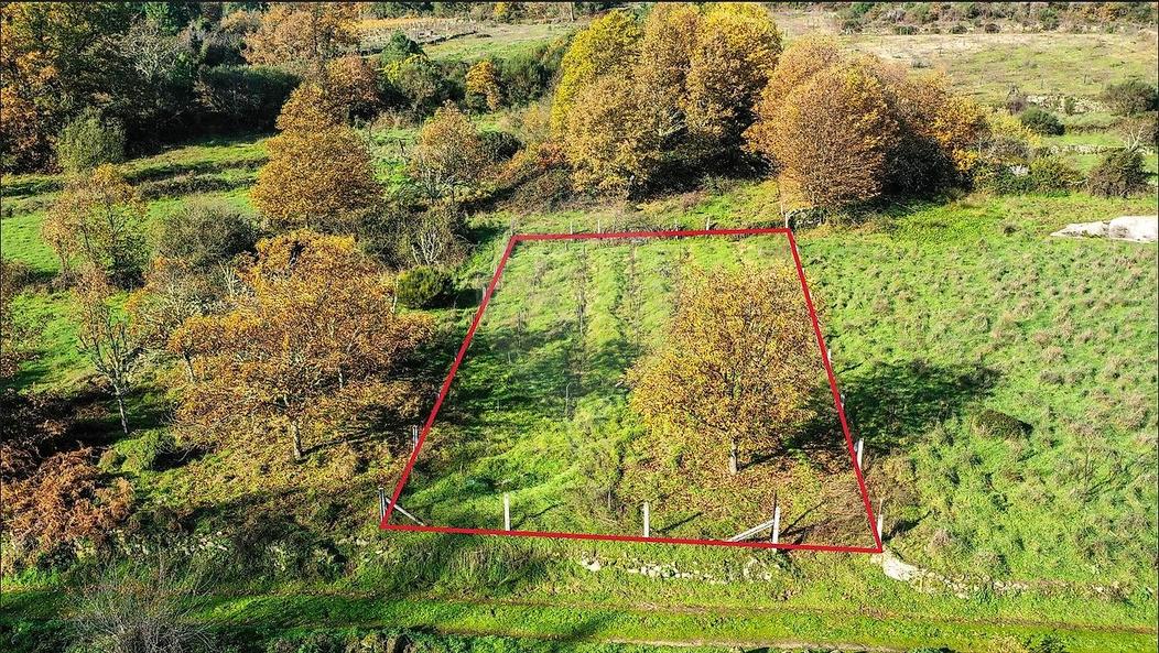  Land in Alijo, Portugal No. 190295