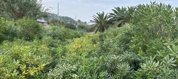 Studio in Cupra Marittima, Italy No. 153136 5