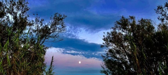 Studio in Cupra Marittima, Italy No. 153136 4