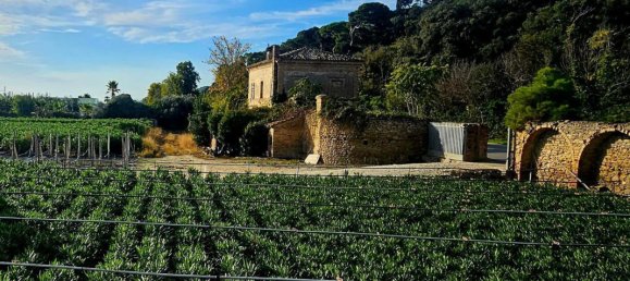 Studio in Cupra Marittima, Italy No. 153136 8