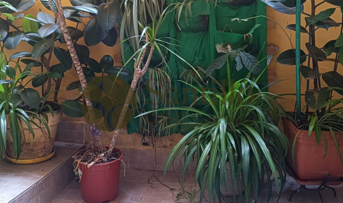 2 bedrooms Apartment in Rome, Italy No. 354353